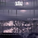 King Peanuts & M43 - Photosynthesis (feat. M43) (Original Mix)
