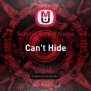 Sunrise Blvd ft Nelita - Can\'t Hide (Radio Version)