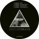 Acidulant - Test System 436 (Original mix)