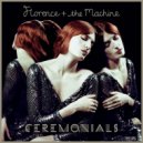 Florence + The Machine - Spectrum (Say My Name) (Craig Knight Remix)
