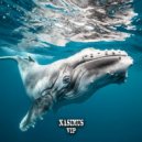 Moog Boy - Whale