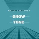 Brice J - Growtone (Mini Mix)