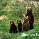 AndreyTus - Siberian Soul vol 29 ()