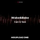 Wake&Bake + Bitsune Ft. White Sugar - Can U See (Original MIx)