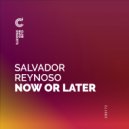 Salvador Reynoso - Sometis