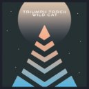 Triumph Torch - Wild Cat (Deep Mix)