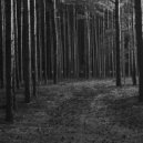 Homeomorphic - Dysphoria