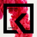 Chester (UK) - Addict (Original mix)