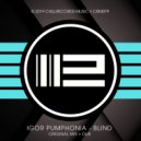 Igor Pumphonia - Blind (Dub)
