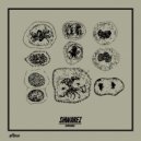 Shwarez - Jhon Berlin
