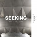 Seryoga Force - Seeking