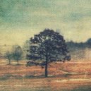 Alexander Volosnikov - Writing Messages Until Dawn