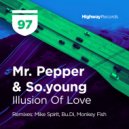 Mr. Pepper & So.young - Illusion Of Love (Original Mix)