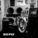 TYPE3 - So Fly
