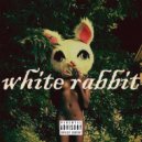 PJ Lucid - White Rabbit