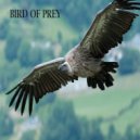 Southdrum Deej - Bird Of Prey