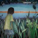 Endwise - Transistor