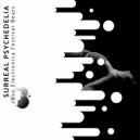 Sheer Soul - Psy Revolutions (Original Mix)