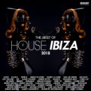 Hansol & Lars Van Dalen - Ctrl Home (Original Mix)
