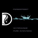 Waterjunkie - Pure Intentions