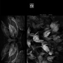 Aleja Sanchez - Magnum