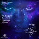 Mr. Eclectic & K.O.D feat Omega - When You Cry