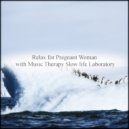 Music Therapy Slow Life Laboratory - Probability & Healing (Original Mix)