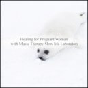 Music Therapy Slow Life Laboratory - Refraction & Refresh