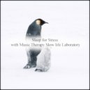 Music Therapy Slow Life Laboratory - Poincare & Nervousness