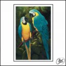 Levantine - Fiddlin Around