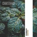 Hammad - Deeper (Original Mix)