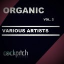 Andee, Rods - Body Rhythm (Franco Junior Remix)