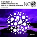 Random J - What You Do To Me (Original Mix)
