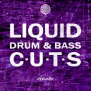 Caustipher - Interdimensional Border (Radio Edit)