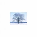 Mindfulness Healing BGM Project - Period & Relaxation