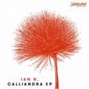 Ian R. - Calliandra (Original Mix)