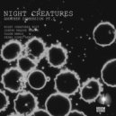 Night Creatures - Another Dimension