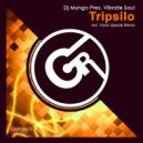 Dj Myngo Pres. Vibrate Soul - Tripsilo