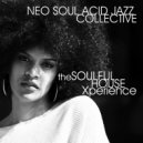 Neo Soul Acid Jazz Collective - Zquinox (Original Mix)