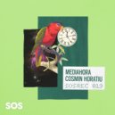 Mediahora - Let Me Free (Cosmin Horatiu Remix)