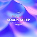Polar (NL) - Soulplate (Original Mix)