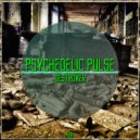 Psychedelic Pulse - Destroyer (Original Mix)