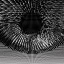 Hallien - Postsecondary Education