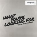 TAISUN, Travis Emmons - What You\'re Looking For (Original Mix)