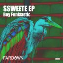 Boy Funktastic - Ssweete (Original Mix)