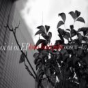 Lotus Land Pilot - Oi Oi Oi