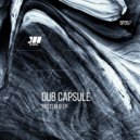 Dub Capsule - System 0 (Original Mix)