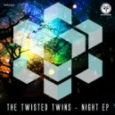 The Twisted Twins - Metwo