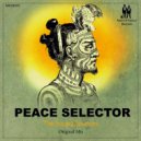 Peace Selector - The Sound Sources (Original Mix)