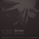 Sintek - Pleasures (Original Mix)